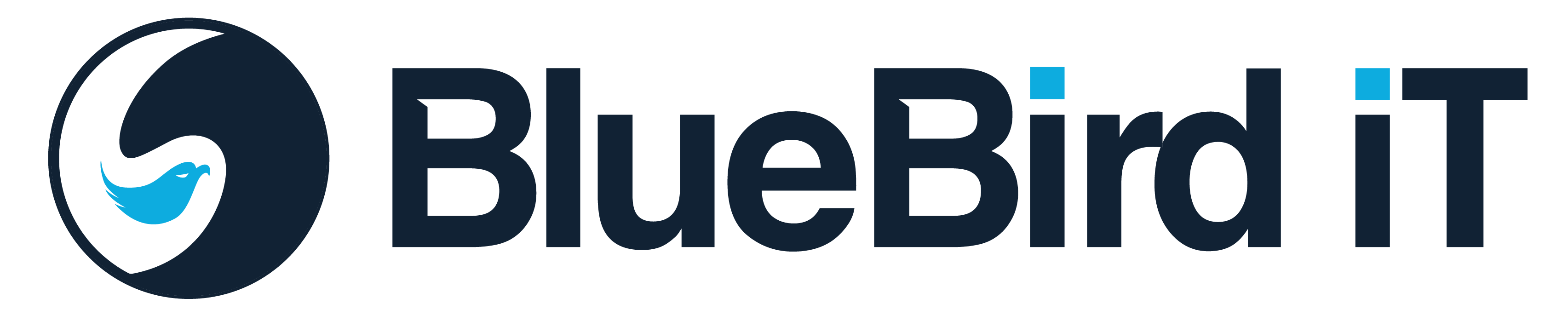 Bluebird iT logo - colour Bluebird iT logo - colour